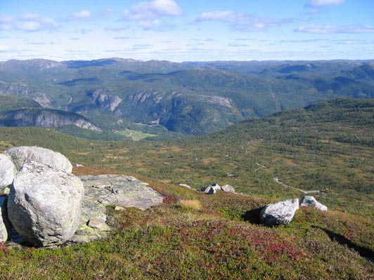 sumarbilde-uppstad-fjellgrend